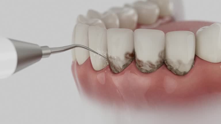 Reliable Dental contractor in University Center, VA by Dentist Open Now